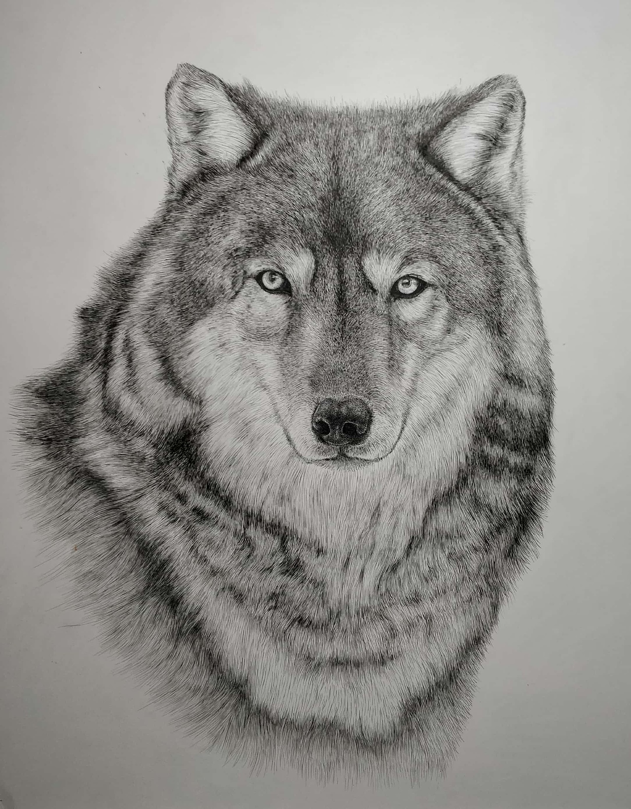 钢笔画（图ZOTk1NzIwNDQ=） - 绘画 - 站酷设计师杨陶昰昱_ShiYu原创素材 - 站酷ZCOOL