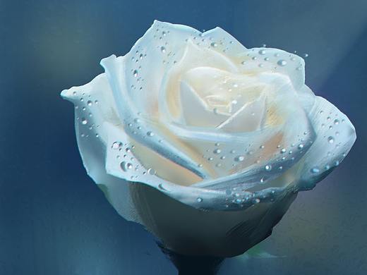 日常速涂小练习