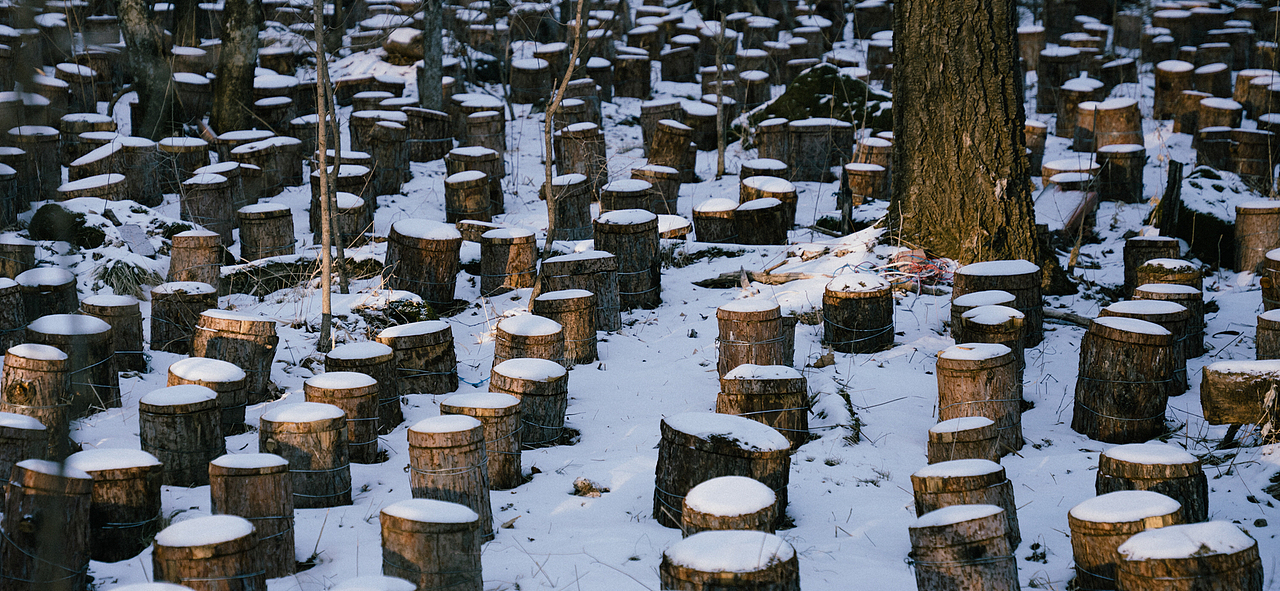 雪国记事 | 长白山的一个冬日（图ZMjk0MTM1NzMy） - 人文/纪实摄影 - 站酷设计师叉烧xs原创素材 - 站酷ZCOOL