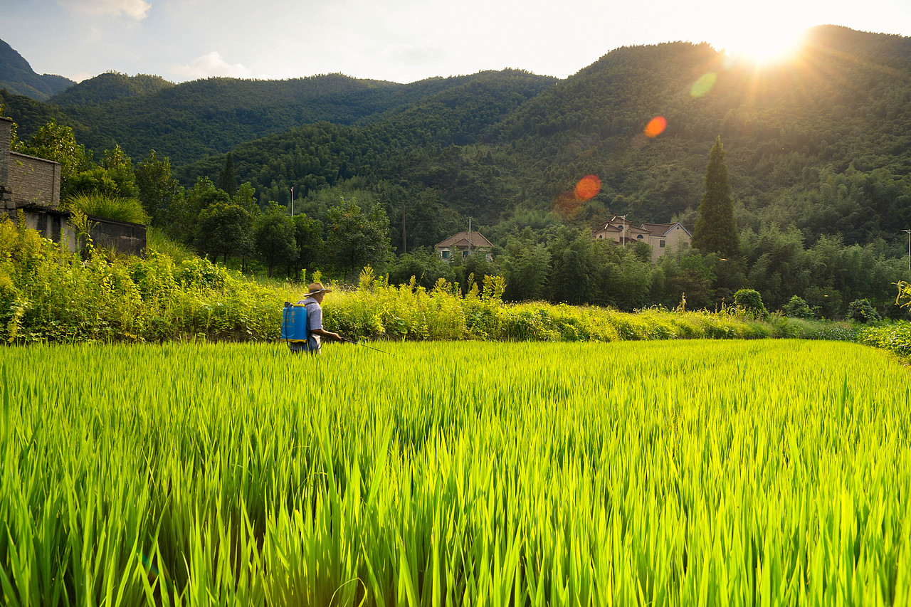浙江省杭州市余杭区泗溪村风景照