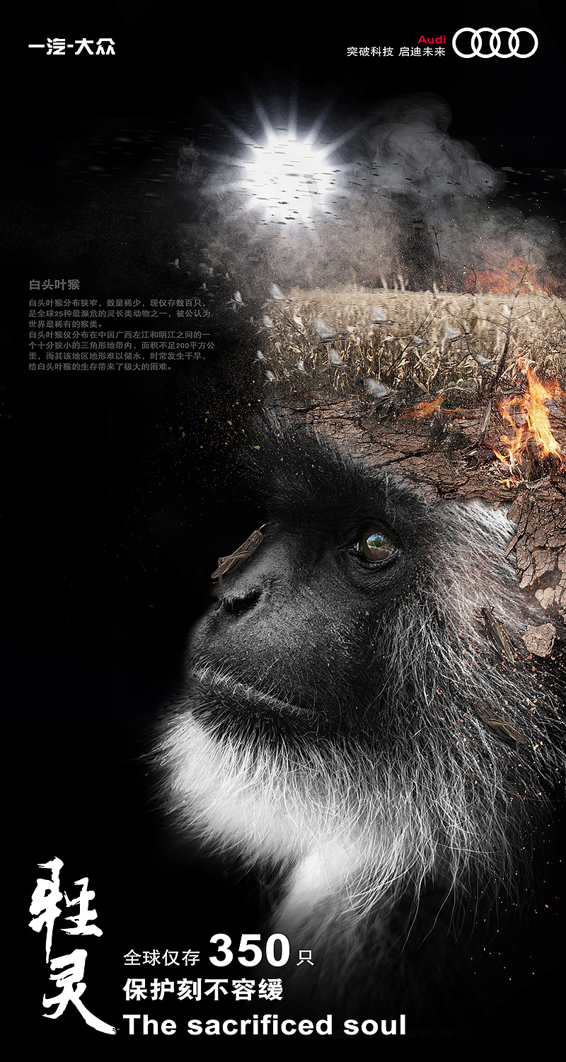 奥迪-濒危动物保护活动海报