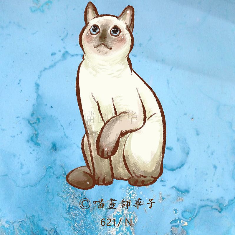不断更日常画猫的275天（图ZMTk3ODk1Mzk2） - 艺术插画 - 站酷设计师喵画师华子原创素材 - 站酷ZCOOL