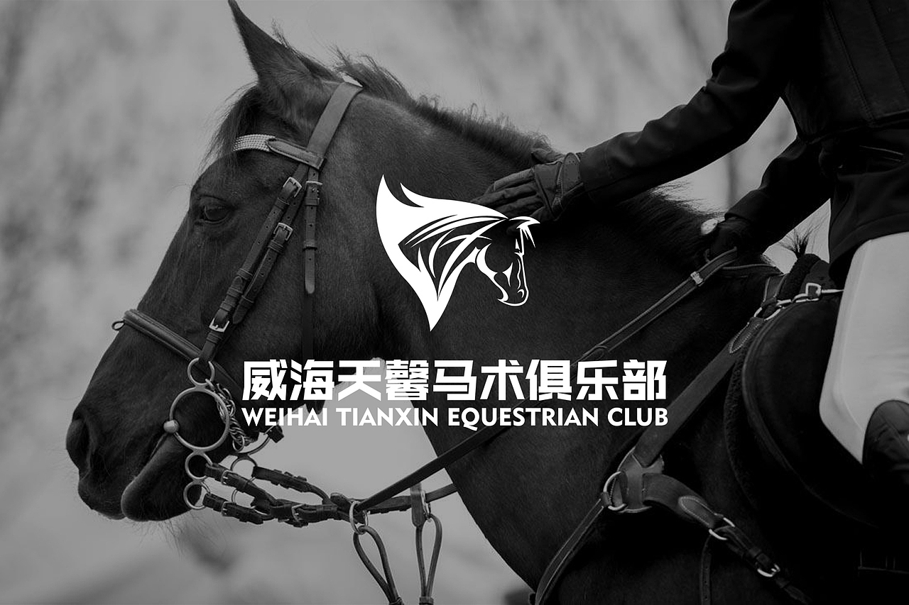 马术俱乐部标志LOGO设计