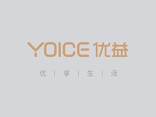YOICE 优益迷你电饭煲Y-DFB11