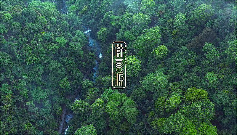 飒旗品牌:徽素源 · 铁皮石斛