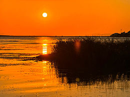 一些手機(jī)攝影作品