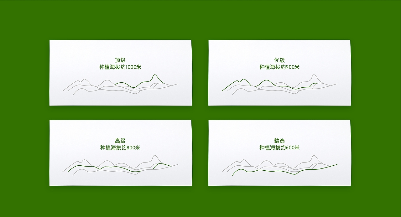 BrandForce丨茶叶视觉系统-宋