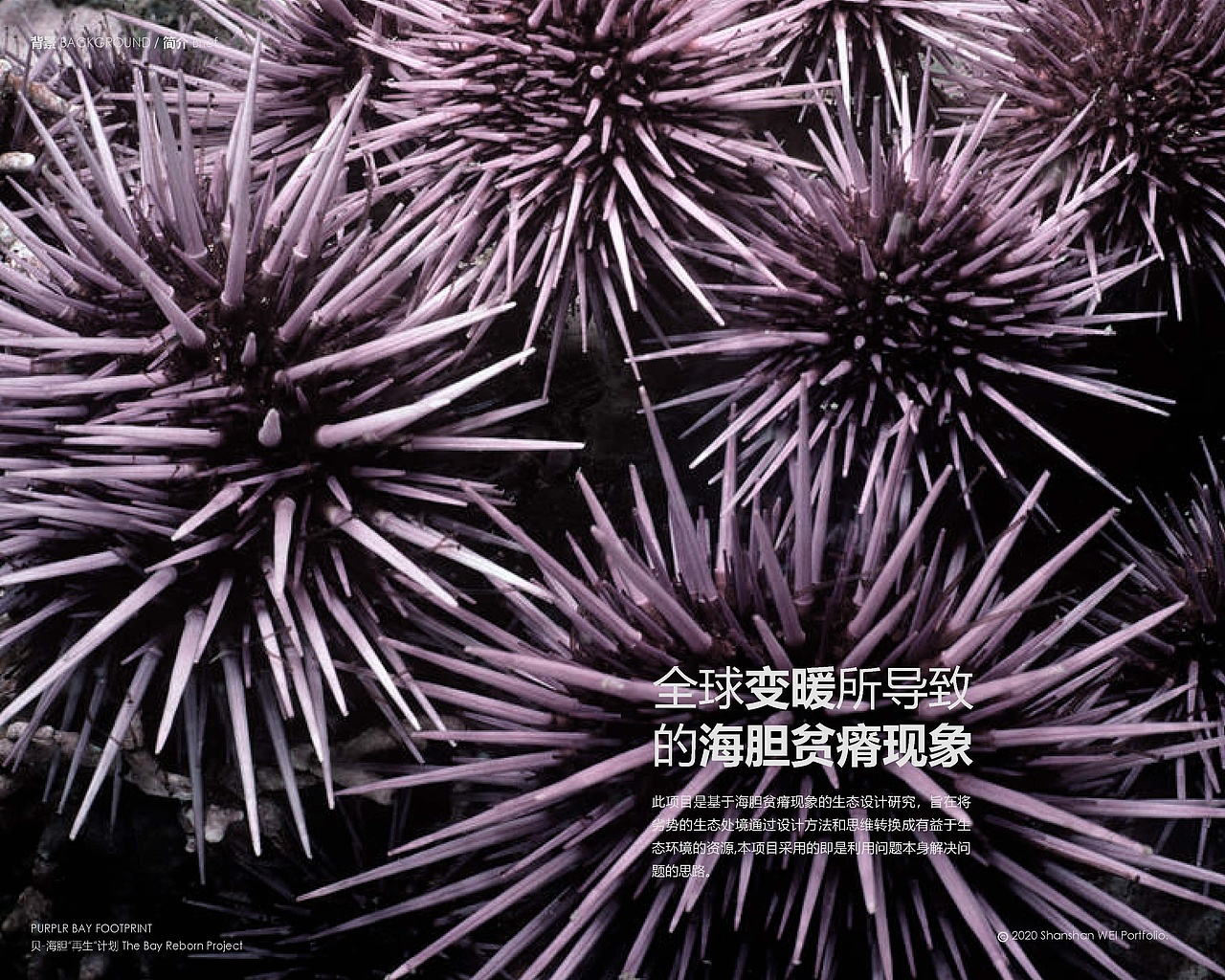 韦山珊2020个人作品集（图ZMjA0OTM0NjA4） - 电子产品 - 站酷设计师ShanshanWEI原创素材 - 站酷ZCOOL