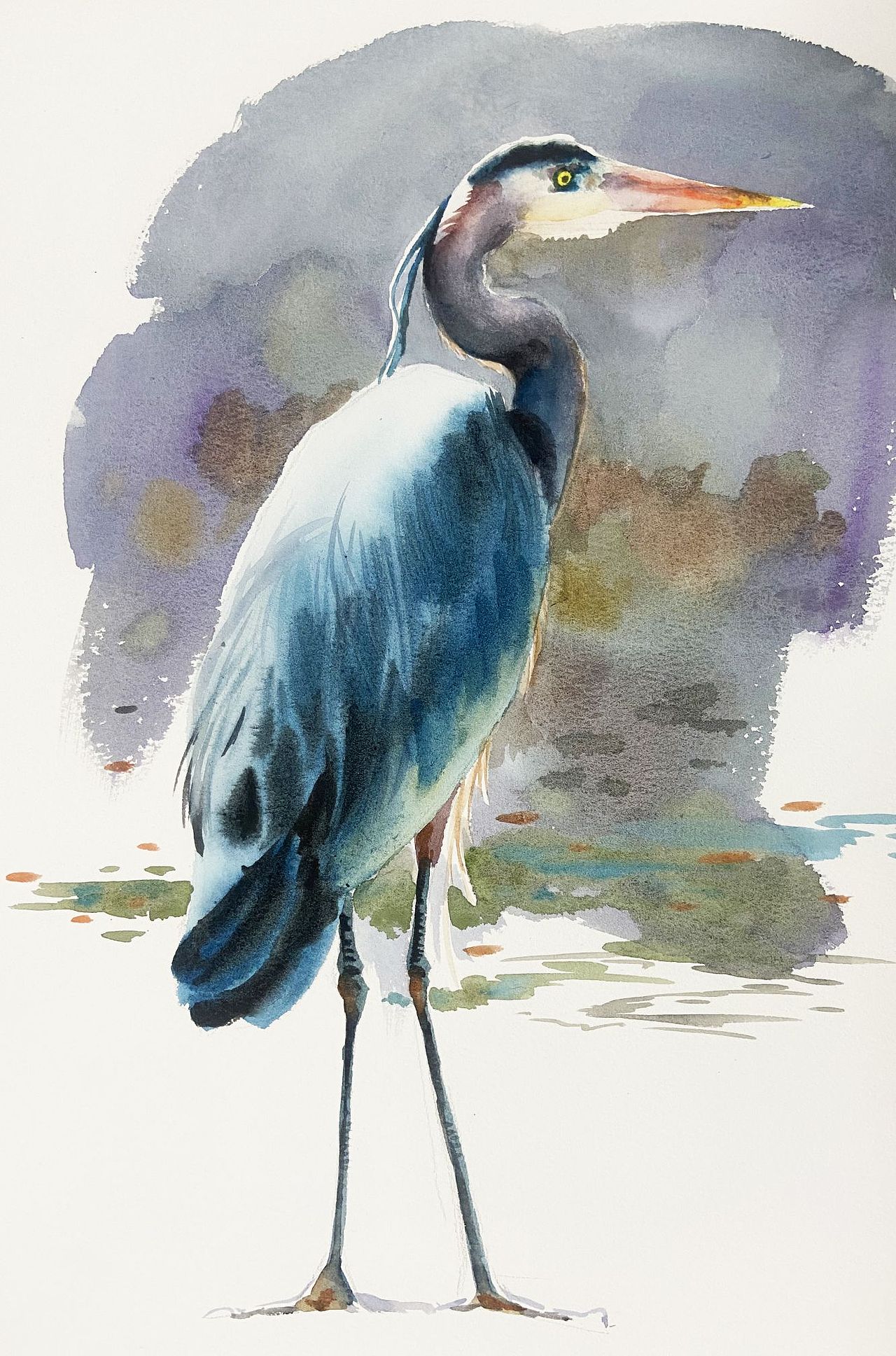 水彩动物合集（图ZMzE3ODAzMTAw） - 绘画 - 站酷设计师半夏插画原创素材 - 站酷ZCOOL