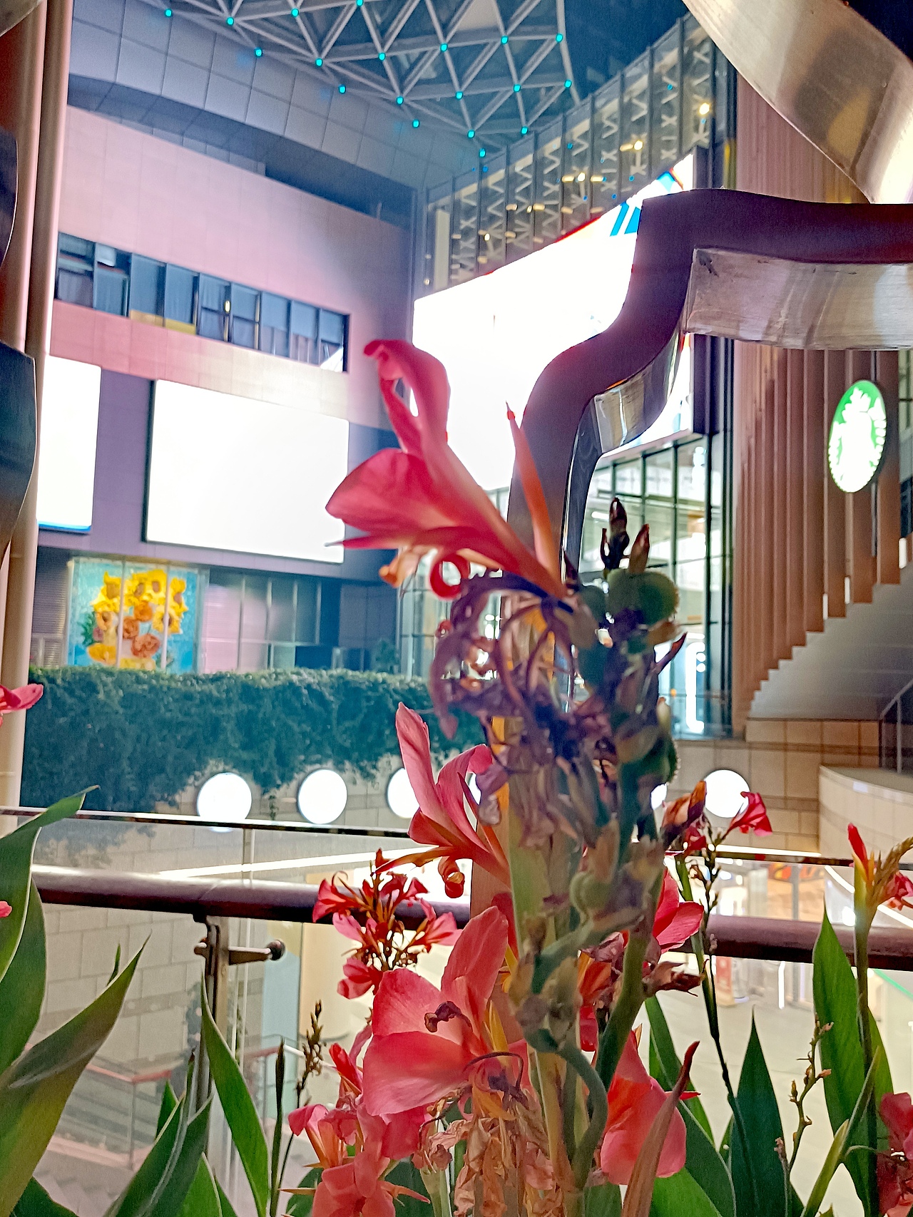 城市午夜的花朵（图ZMjk2NjM3NDg4） - 风光摄影 - 站酷设计师影碟原创素材 - 站酷ZCOOL