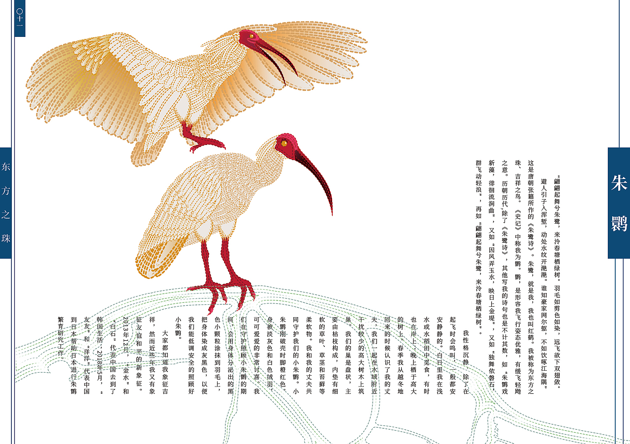 《假如我们会说话》70种中国珍贵野生动物书籍设计·一