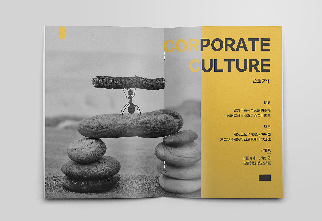 2020年度项目总结