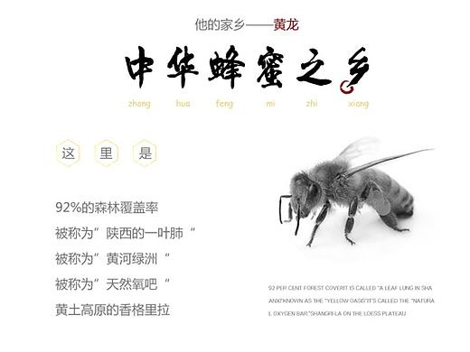 蜂蜜详情