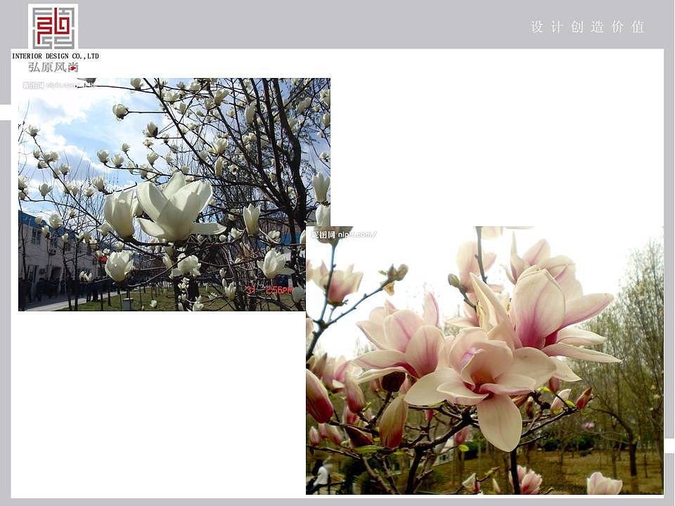 一个小院子的前期