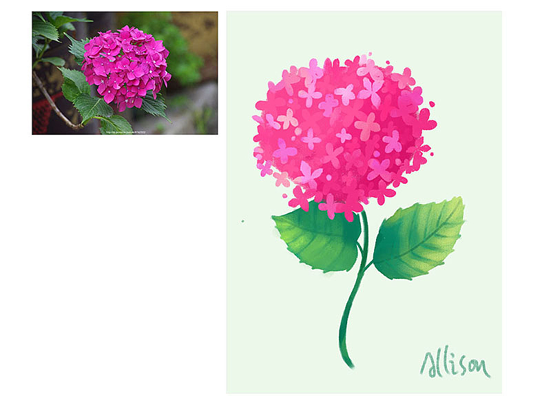 仿实物插画（图ZMjQ5NjkxODY0） - 艺术插画 - 站酷设计师Allison58原创素材 - 站酷ZCOOL