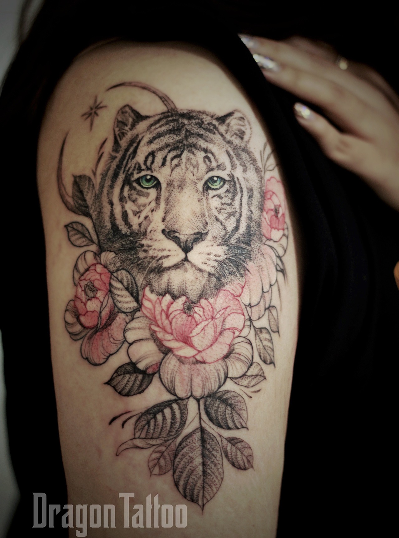 虎纹身老虎纹身虎与花纹身