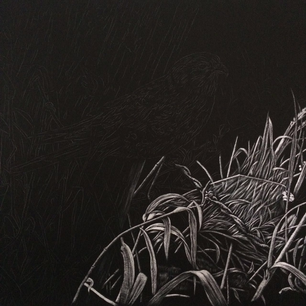 李子哥刮画作品过客1