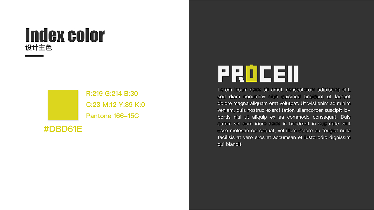 Procell 电池类logo标志设计