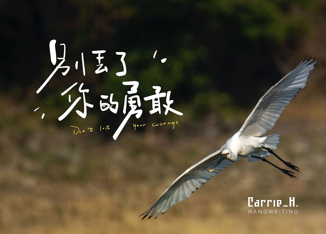 手写字|手写歌词(二)（图ZMzM2NDYyMjQw） - 字体/字形 - 站酷设计师Carrie_h原创素材 - 站酷ZCOOL