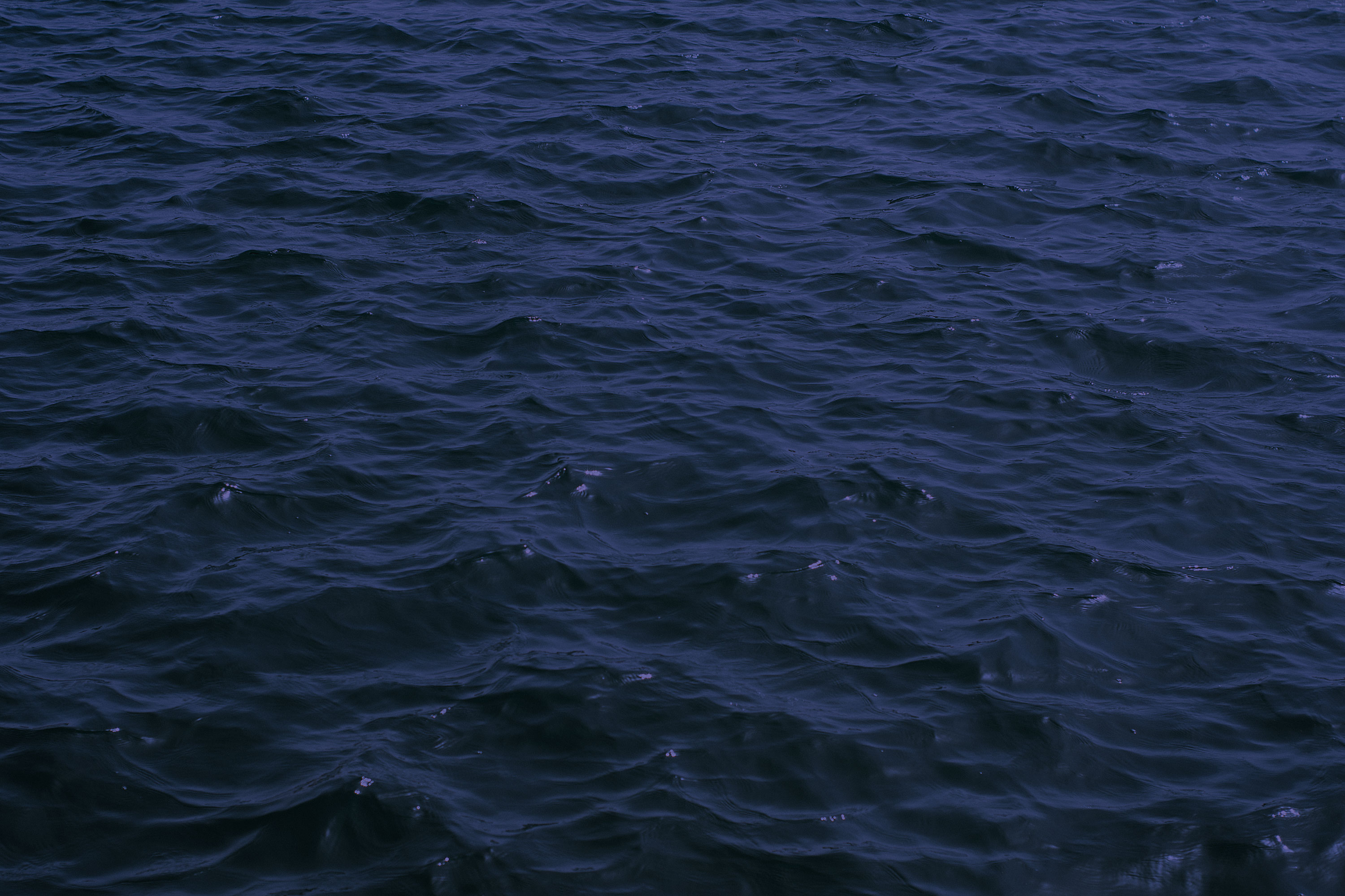 刘伙计的个人主页（封面预览） - 主页封面设置 - 站酷设计师刘伙计原创素材 - 站酷ZCOOL