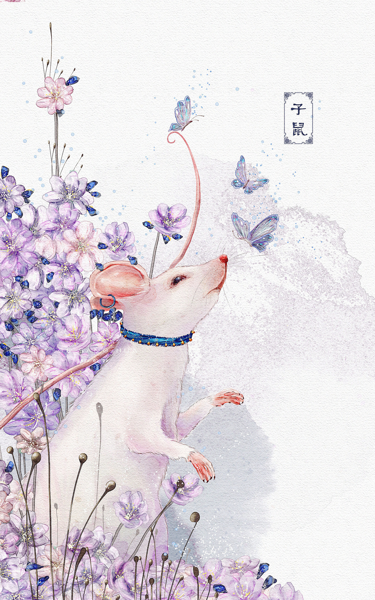 十二生肖之子鼠|插画|创作习作|格桑插画 - 原创作品 - 站酷 (zcool)