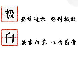 极白手册