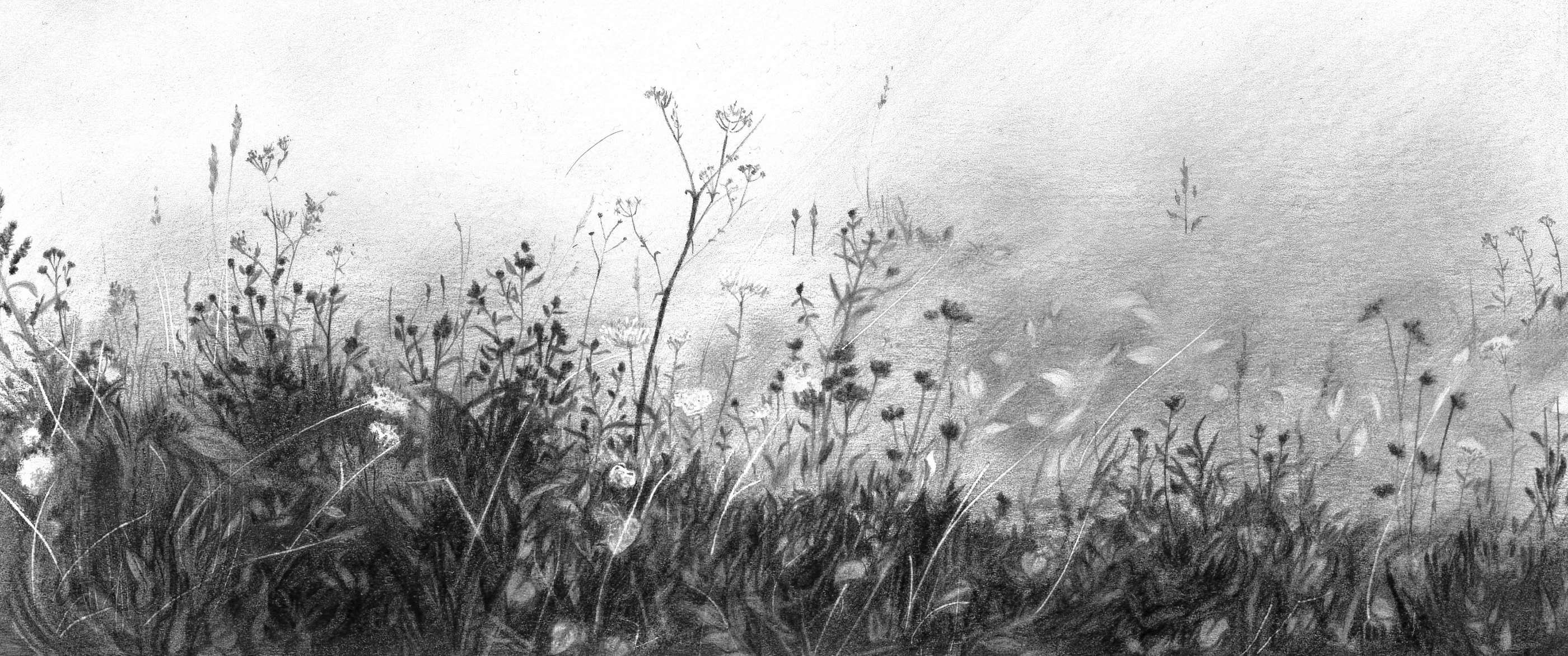 穿山越海的个人主页（封面预览） - 主页封面设置 - 站酷设计师穿山越海原创素材 - 站酷ZCOOL