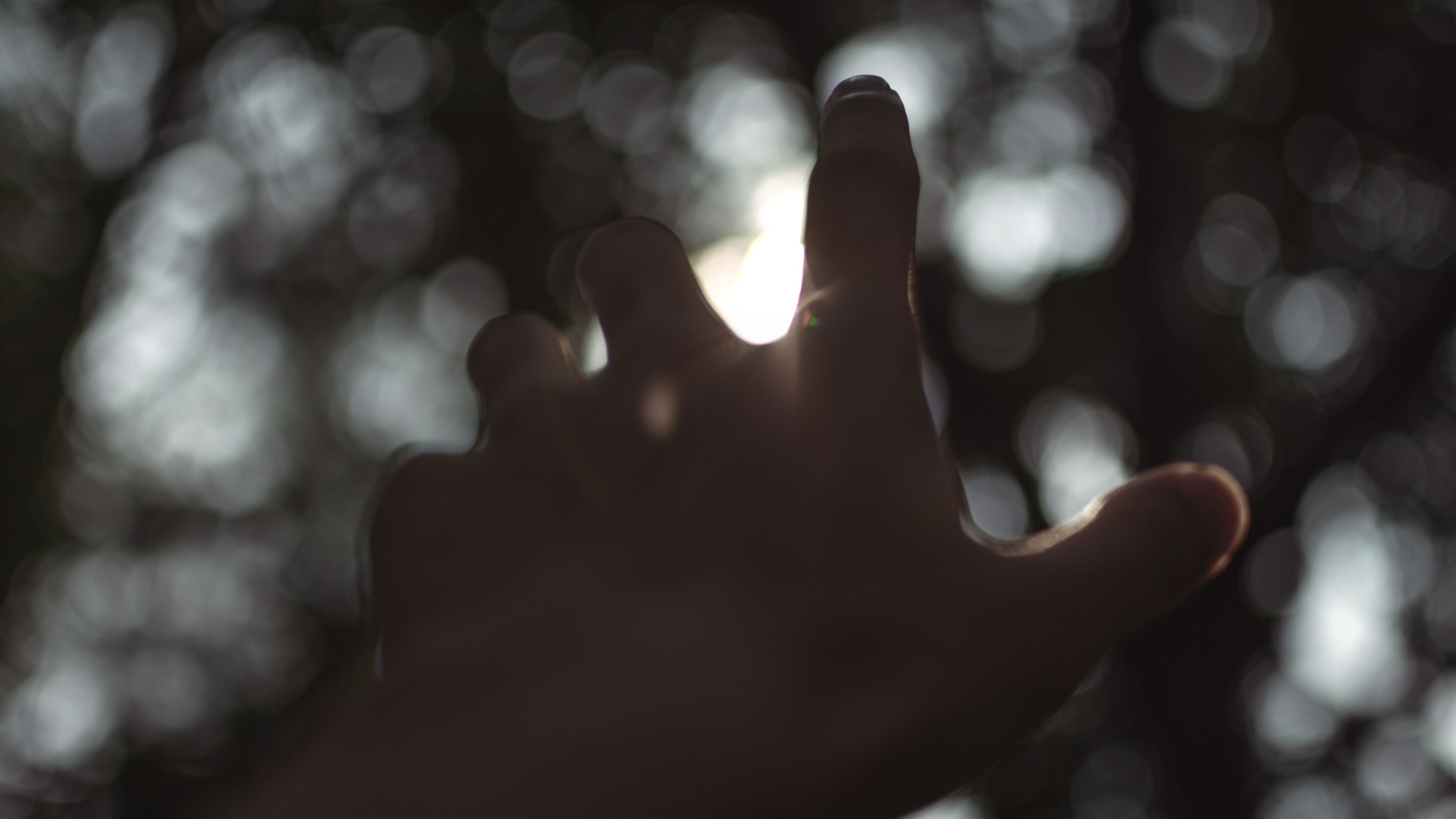 丛笙月晕的个人主页（封面预览） - 主页封面设置 - 站酷设计师丛笙月晕原创素材 - 站酷ZCOOL