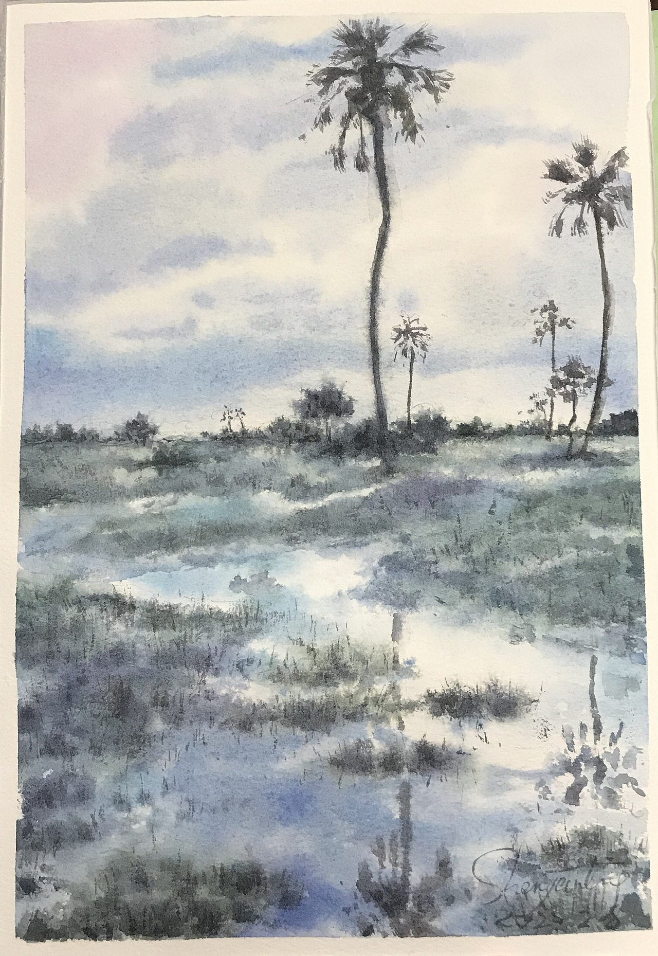 那些美美的山山和水水