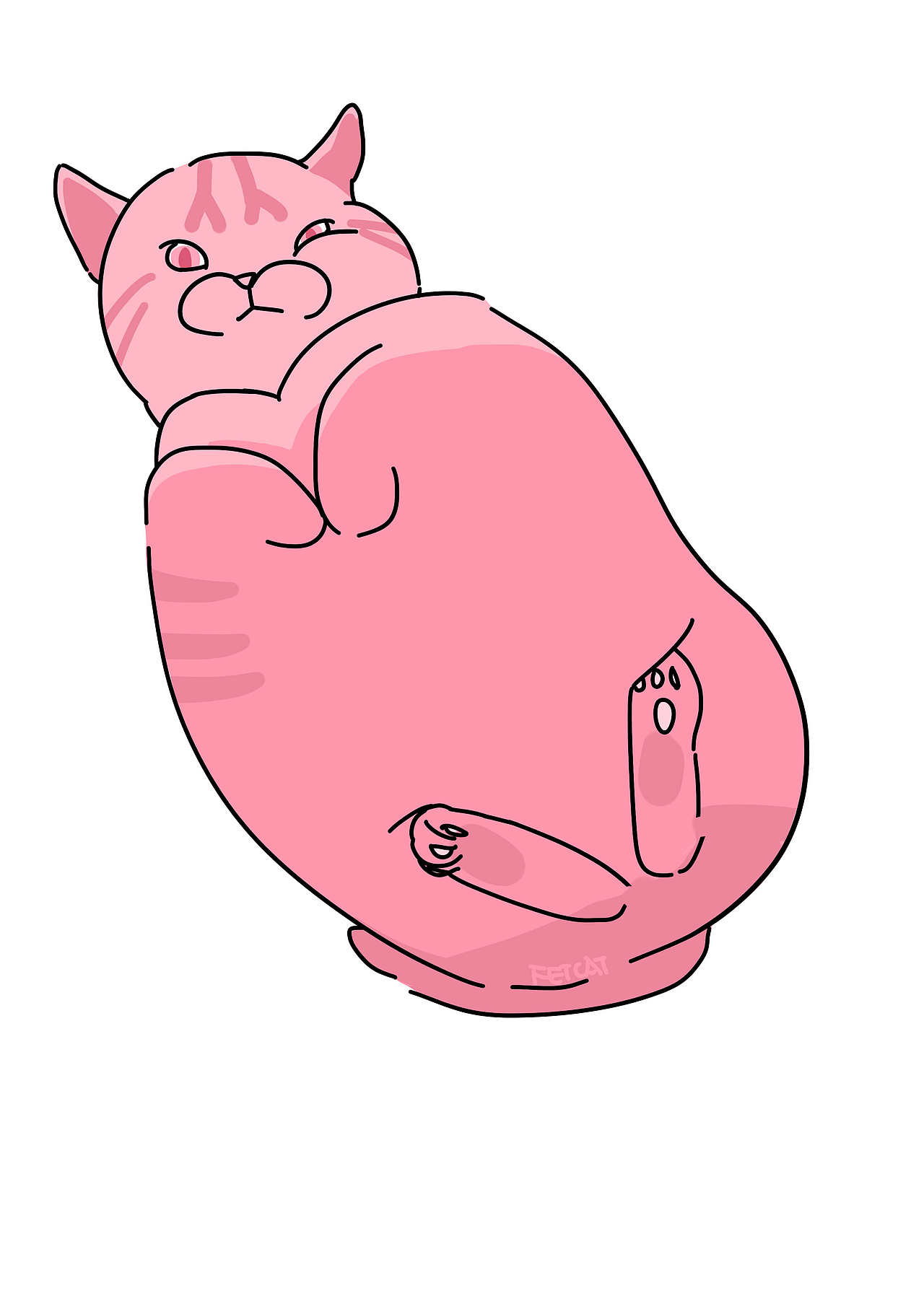 猫_肥猫feicat-站酷zcool