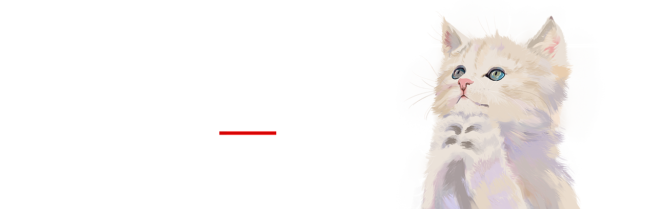 2019作品集 移动+pc