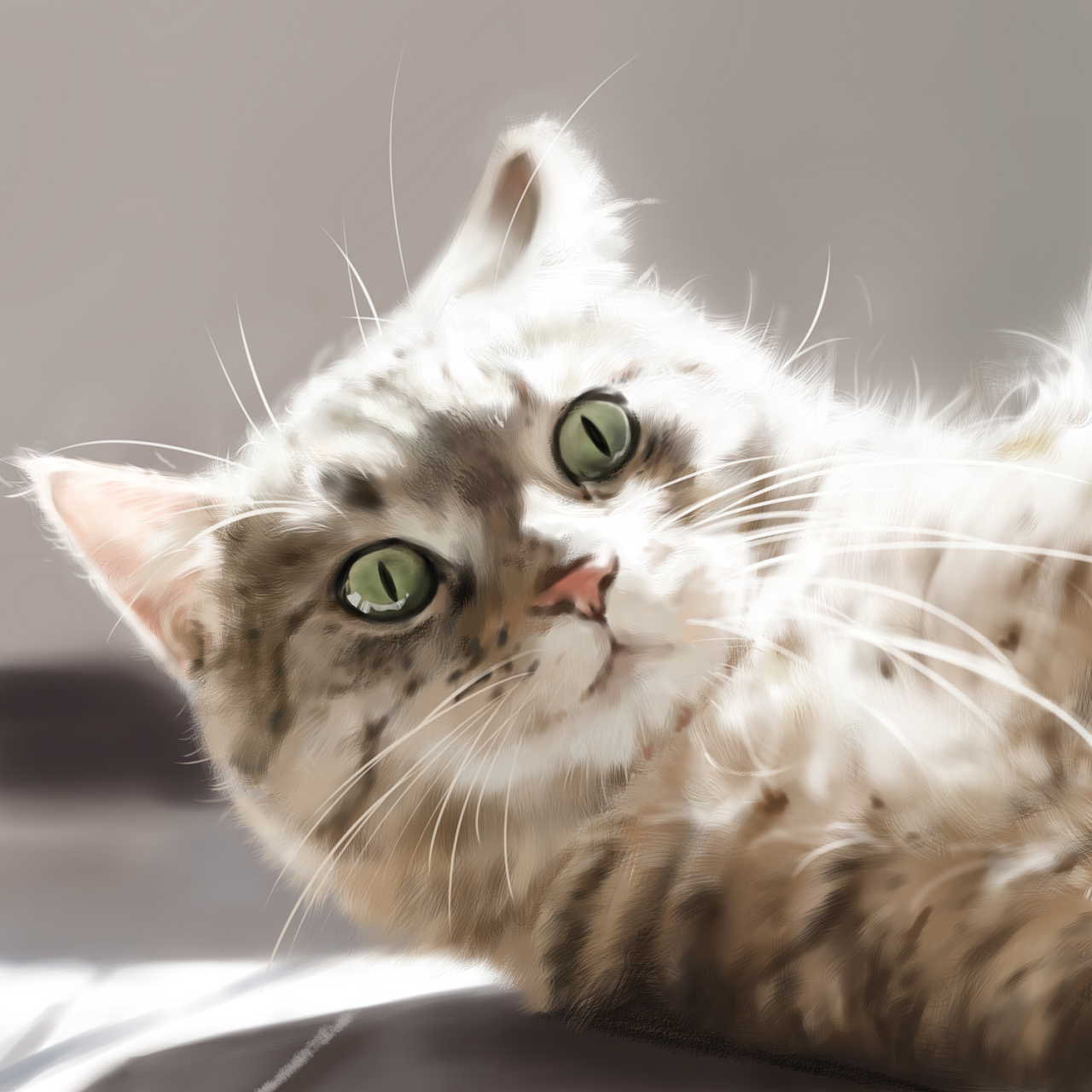 猫|插画|插画习作|panda_qi - 原创作品 - 站酷 (zcool)