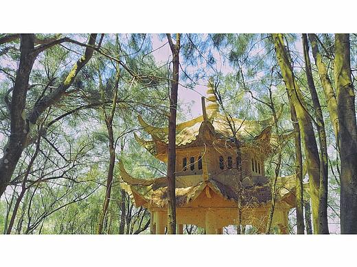 手机摄影随手拍