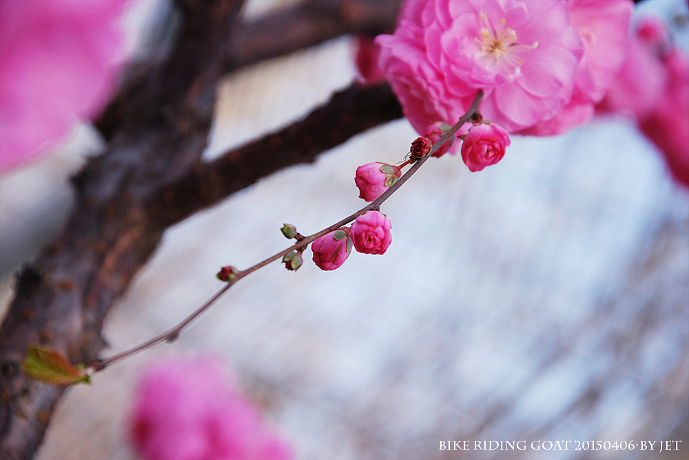 动人的风景永远在路上,别赶路,去感受路1-1