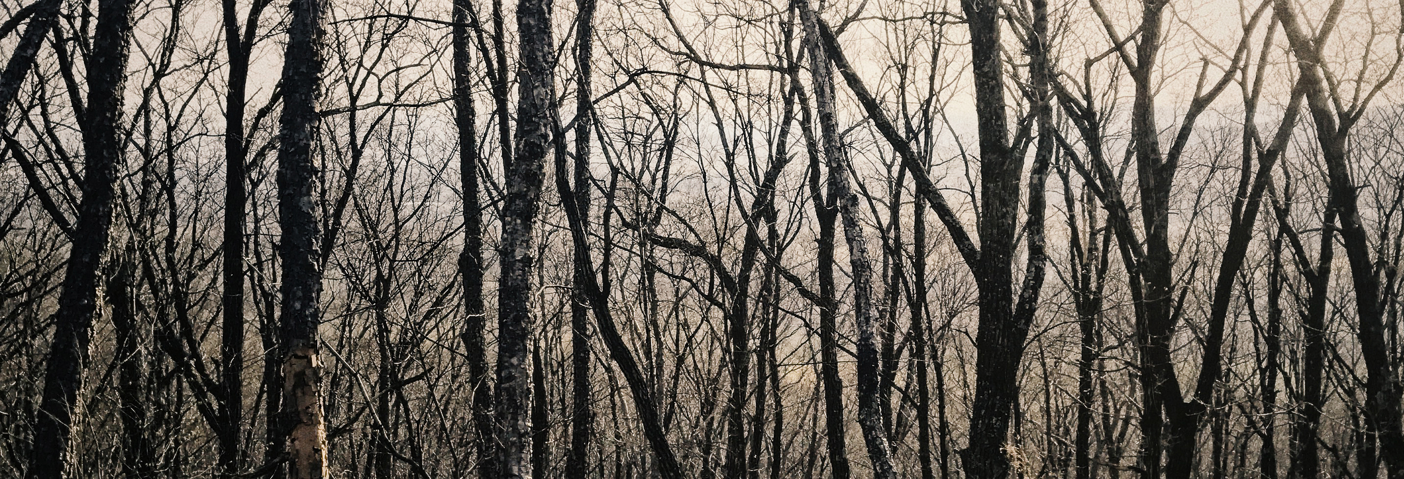 ORANGE_效果表现的个人主页（封面预览） - 主页封面设置 - 站酷设计师ORANGE_效果表现原创素材 - 站酷ZCOOL