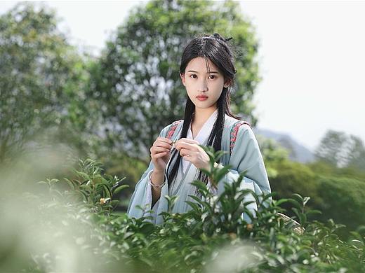 设图网｜茶园人像写真｜茶道茶文化
