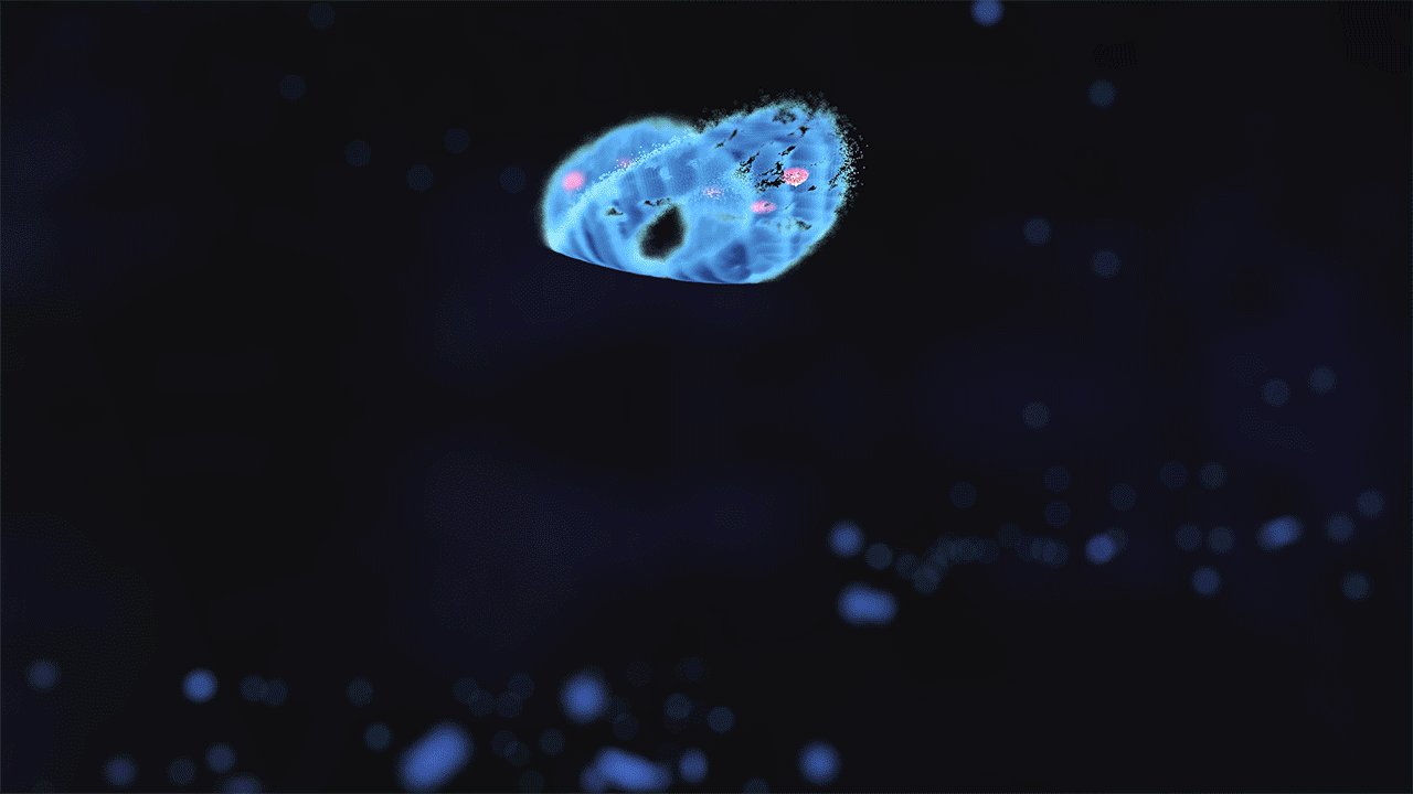 c4d xp粒子烟雾形态模拟