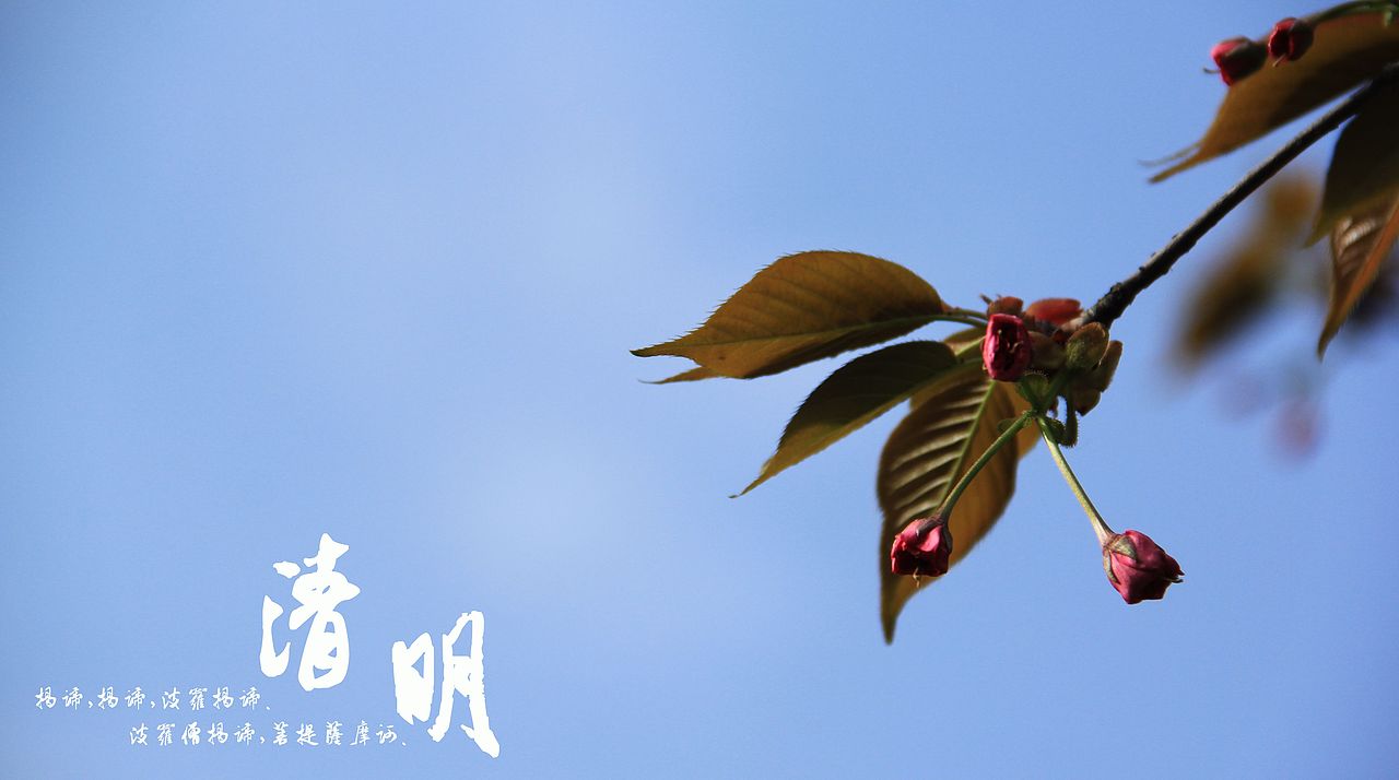 大桥下的石头（图ZODkzMzgxMg==） - 风光摄影 - 站酷设计师半道子原创素材 - 站酷ZCOOL
