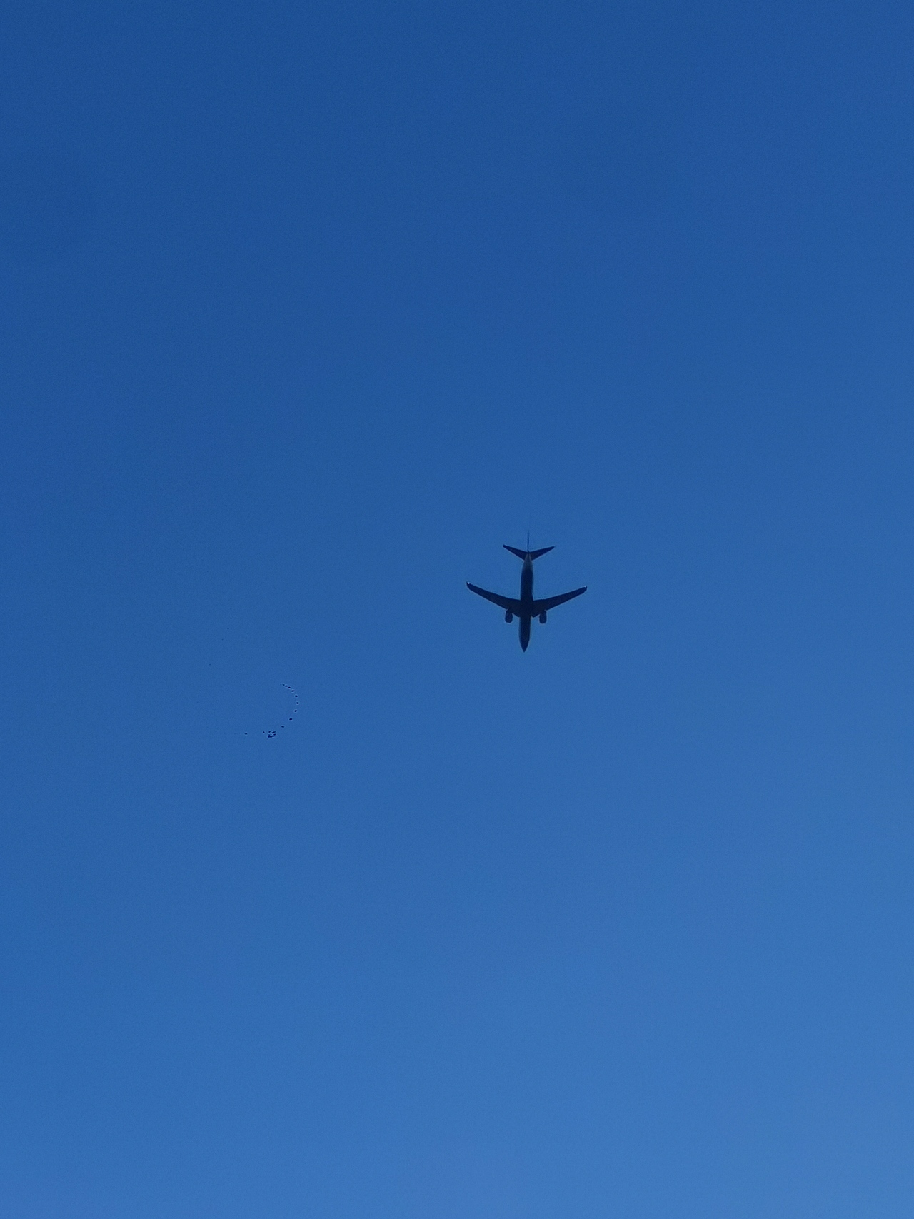 蓝天翱翔的飞机