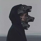 养只猫啊的头像