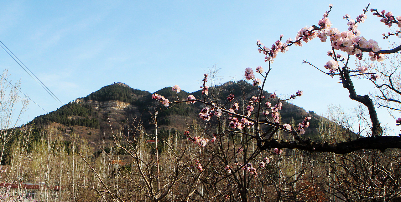 一枝红杏出墙来
