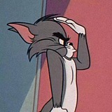 梁粮的头像