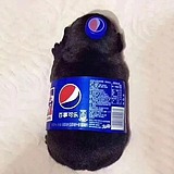 用戶頭像