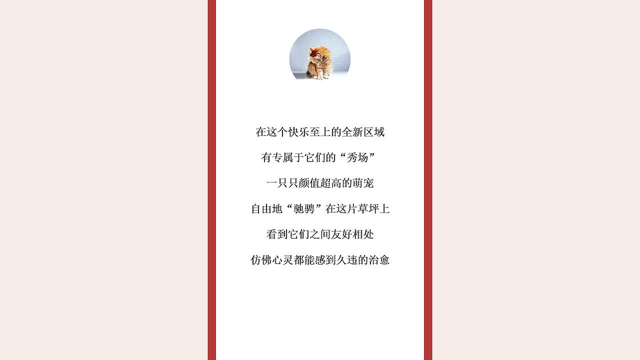 2021商业广场月度(萌宠秀场主题)活动推荐-46P