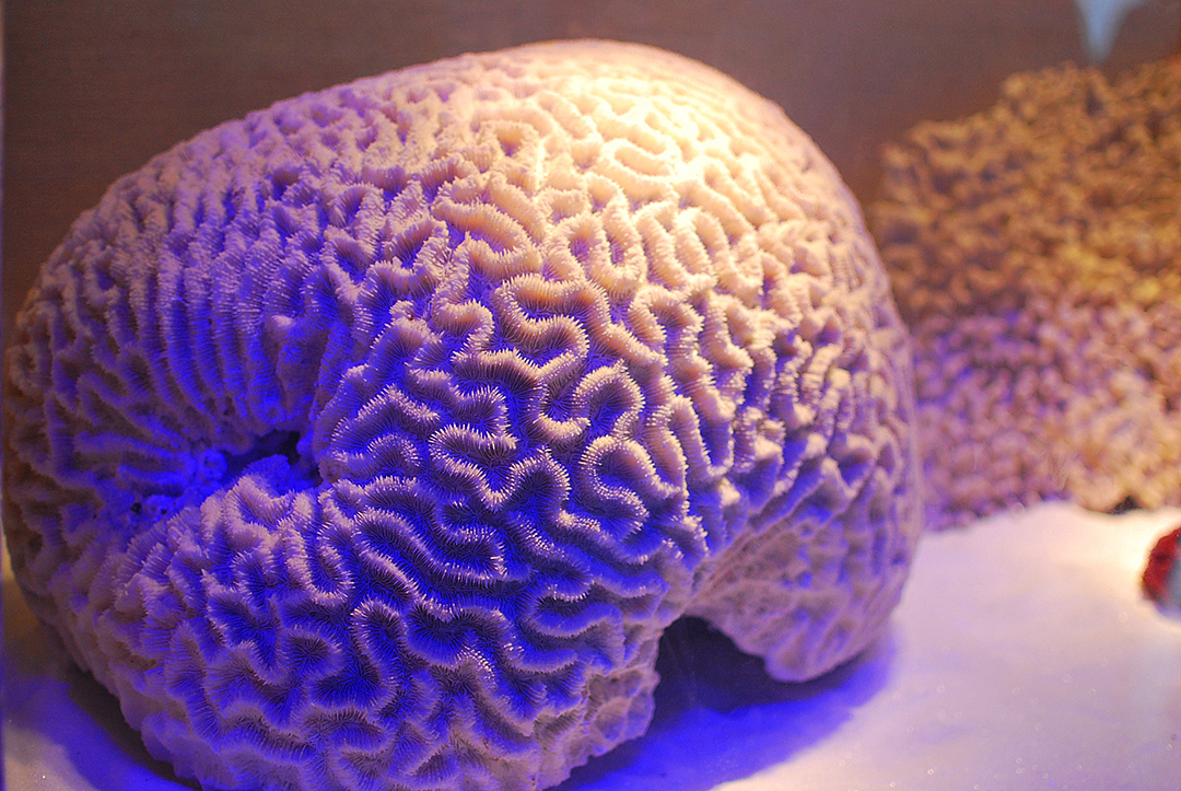 广州花城广场、省博物馆游记