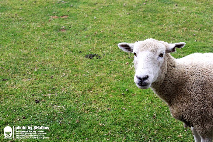 Australia&New Zealand4（图ZMjMxMjk0OA==） - 风光摄影 - 站酷设计师shadowcby原创素材 - 站酷ZCOOL