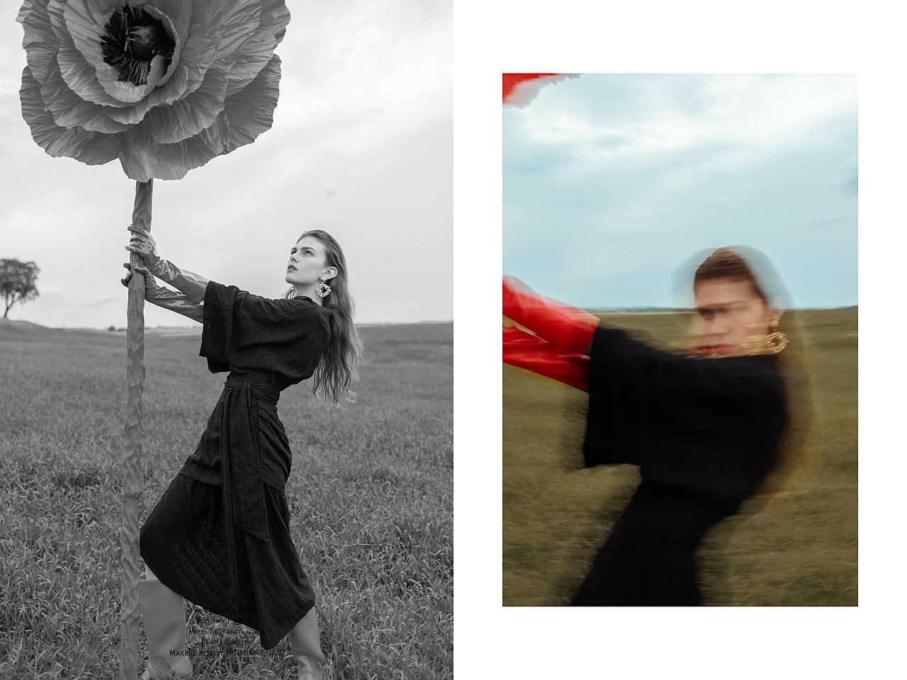 ᶠᴸᴼᵂᴱᴿ ᶠᴼᴿ ᶠᴵᴿᴱ