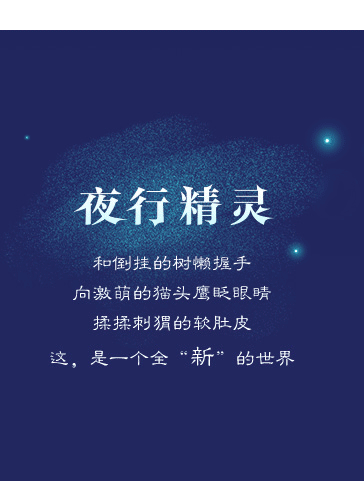 森林奇幻夜（图ZNjcyMTA0ODg=） - 电商 - 站酷设计师简小简原创素材 - 站酷ZCOOL