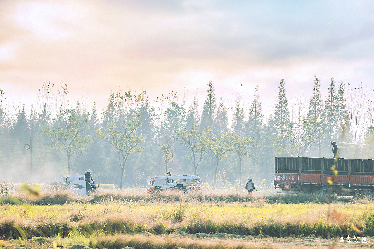 单车日记2019（图ZMTg3NDQ1ODQw） - 人像摄影 - 站酷设计师腰果虾仁原创素材 - 站酷ZCOOL