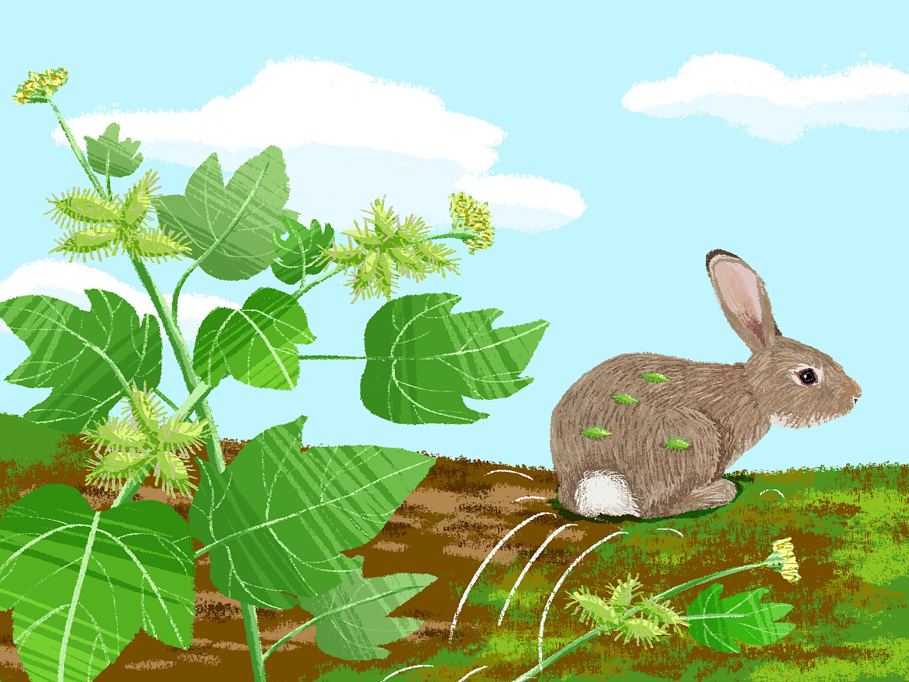 儿童插画小绘本种子